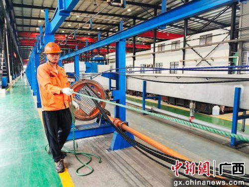 柳州柳江區 聚焦項目建設 強化技術開發 為區域高質量發展注入強勁動能